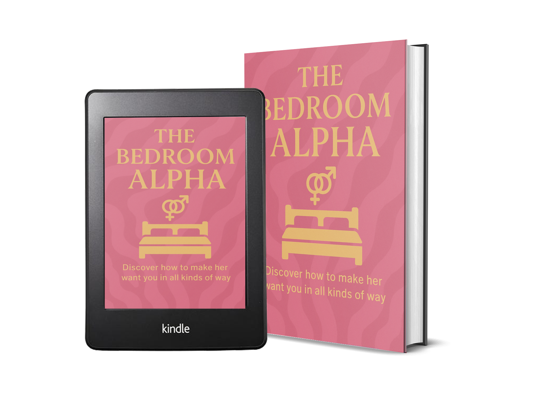 The Bedroom Alpha book and tablet cover 2 